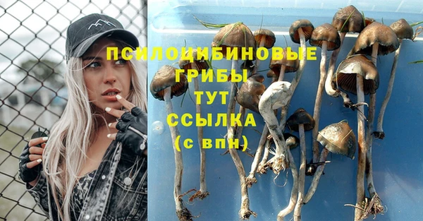 гидропоника Майский