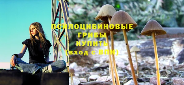гидропоника Майский