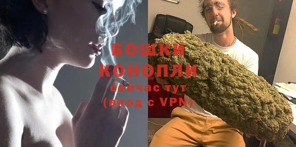 соль ск Богородицк