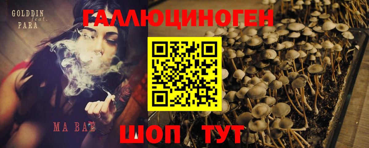 Галлюциногенные грибы Magic Shrooms Малоярославец